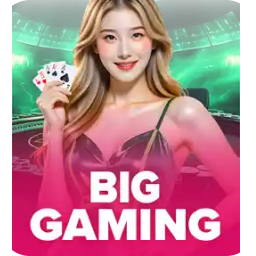 BIG GAMING