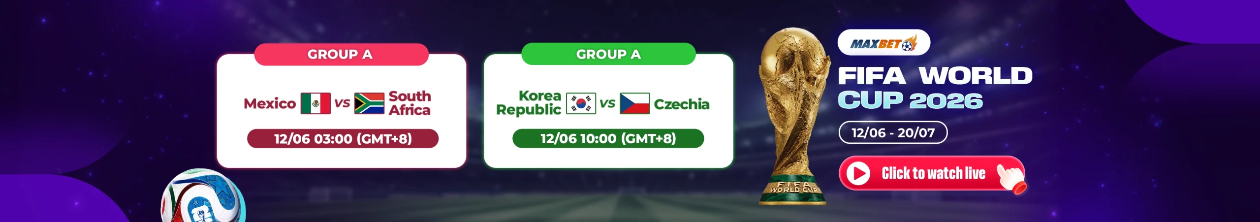 fifa-world-cup-12-6
